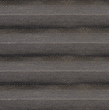 Black Olive